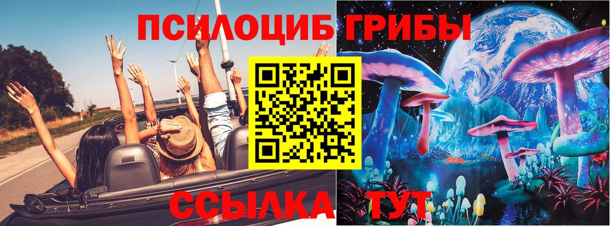 Псилоцибиновые грибы мицелий Нижнекамск