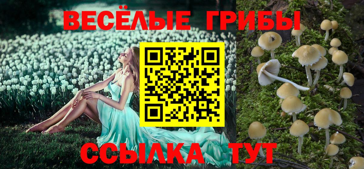 Нижнекамск  Псилоцибиновые грибы Psilocybine cubensis  Псилоцибиновые грибы мицелий  Вход с VPN 